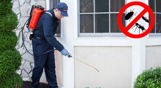 Karapınar Dezenfeksiyon böcek ilaçlama ve haşere kontrolü — ilaclama-tr.com